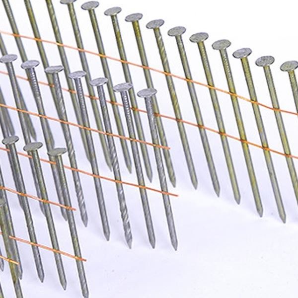 Screw Siding Hot Dipped Galvanized Coil Nails