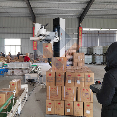 Robotic Palletizer Depalletizing with Robotic Programming Language Using Air 6-7 Kg