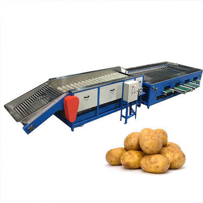 6.5kw Apple Dates Lemon Mango Fruit Grading Machine