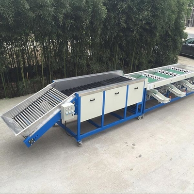 6.5kw Apple Dates Lemon Mango Fruit Grading Machine