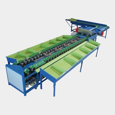 Guava Pear Apple Orange Fruit Grading Machine