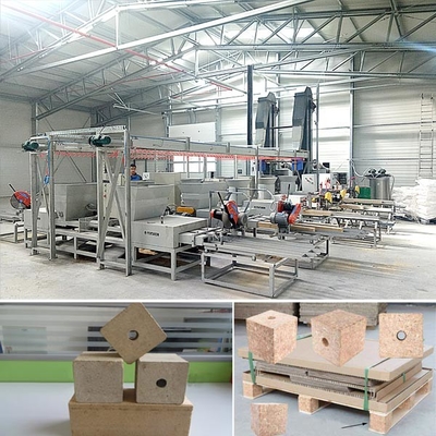 Italy Double Head Sawdust Wood Square Pallet Blocks Machine