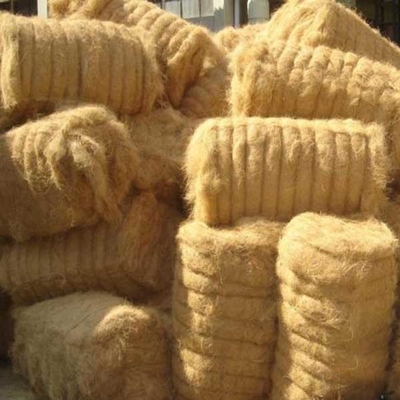Molded Presswood Coconut Pallet Manufacturing Machine 240 Pcs/Day