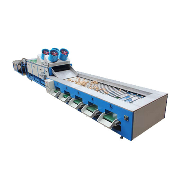 Cherry Selecting Apricot Sorting Fruit Selecting Machine